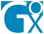 Gox Global – IT Advisory